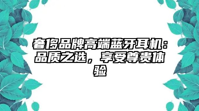 奢侈品牌高端藍(lán)牙耳機(jī)：品質(zhì)之選，享受尊貴體驗(yàn)