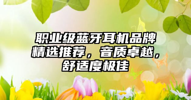 職業級藍牙耳機品牌精選推薦，音質卓越，舒適度極佳