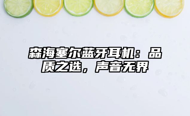 森海塞爾藍牙耳機：品質之選，聲音無界