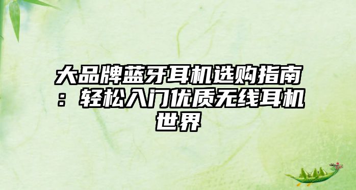 大品牌藍牙耳機選購指南：輕松入門優(yōu)質無線耳機世界