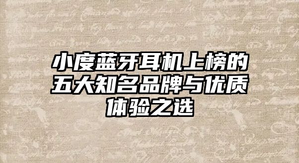 小度藍(lán)牙耳機(jī)上榜的五大知名品牌與優(yōu)質(zhì)體驗之選