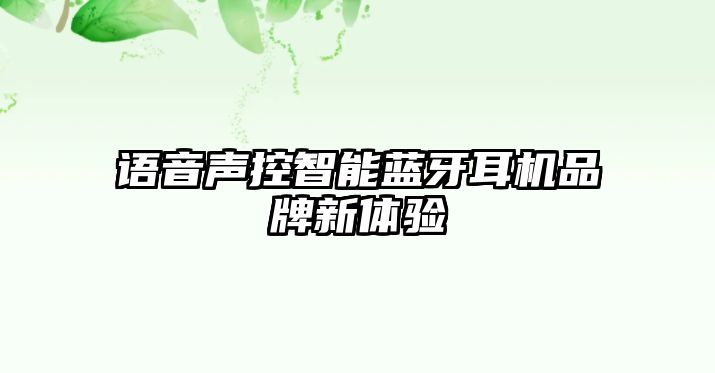 語(yǔ)音聲控智能藍(lán)牙耳機(jī)品牌新體驗(yàn)