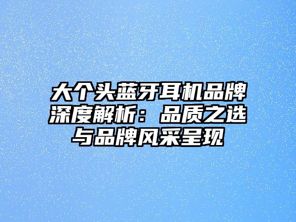 大個頭藍牙耳機品牌深度解析：品質(zhì)之選與品牌風采呈現(xiàn)