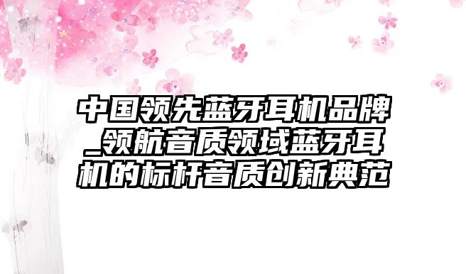 中國領先藍牙耳機品牌_領航音質領域藍牙耳機的標桿音質創新典范