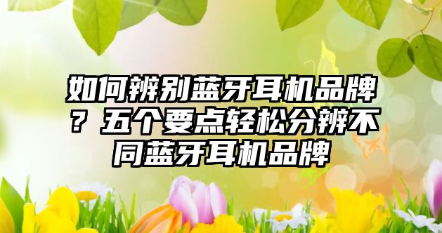 如何辨別藍(lán)牙耳機(jī)品牌？五個(gè)要點(diǎn)輕松分辨不同藍(lán)牙耳機(jī)品牌