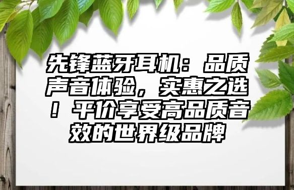 先鋒藍牙耳機：品質聲音體驗，實惠之選！平價享受高品質音效的世界級品牌