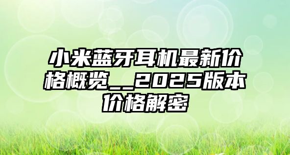 小米藍牙耳機最新價格概覽__2025版本價格解密
