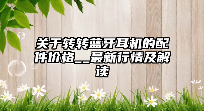 關于轉轉藍牙耳機的配件價格__最新行情及解讀