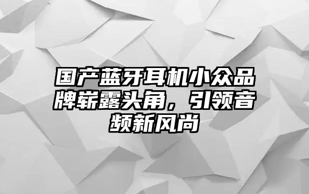 國產(chǎn)藍牙耳機小眾品牌嶄露頭角，引領(lǐng)音頻新風(fēng)尚