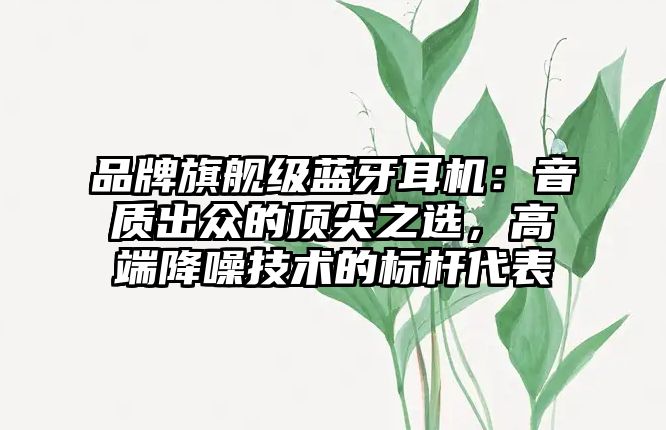 品牌旗艦級藍牙耳機：音質出眾的頂尖之選，高端降噪技術的標桿代表