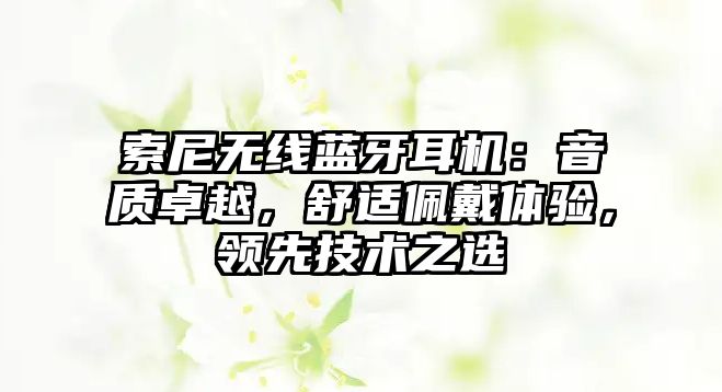 索尼無線藍牙耳機：音質卓越，舒適佩戴體驗，領先技術之選