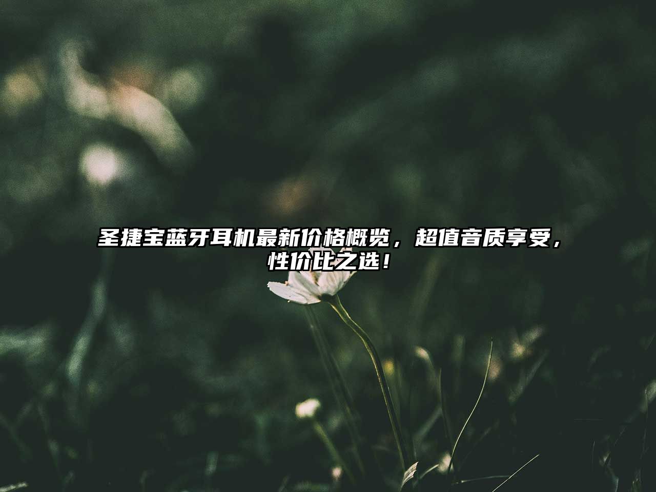 圣捷寶藍牙耳機最新價格概覽，超值音質享受，性價比之選！