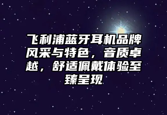 飛利浦藍(lán)牙耳機(jī)品牌風(fēng)采與特色，音質(zhì)卓越，舒適佩戴體驗(yàn)至臻呈現(xiàn)