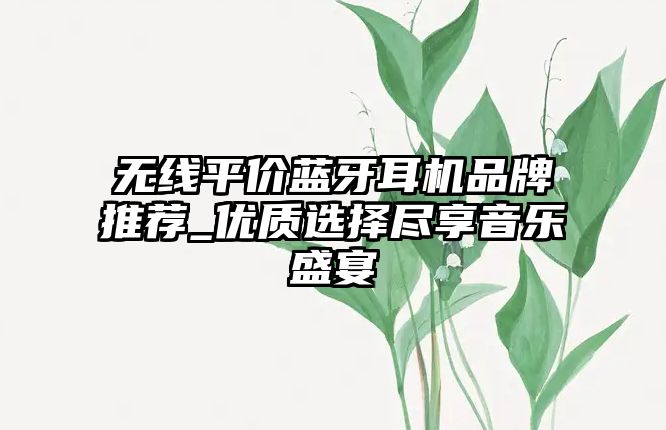 無線平價藍牙耳機品牌推薦_優質選擇盡享音樂盛宴