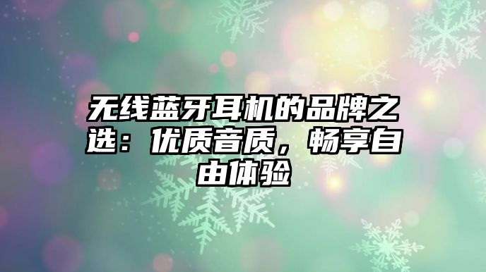 無線藍牙耳機的品牌之選：優質音質，暢享自由體驗