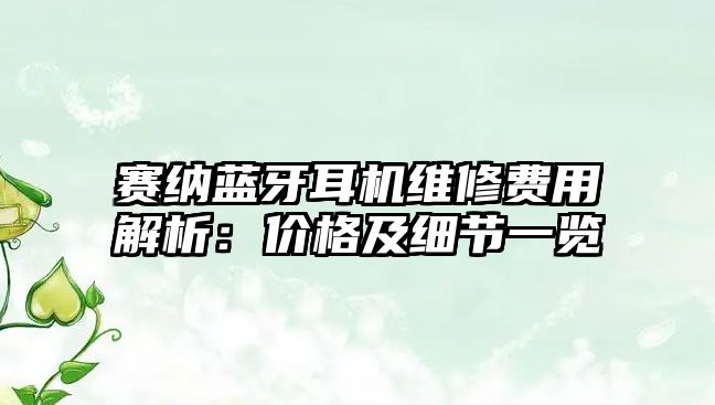 賽納藍(lán)牙耳機(jī)維修費用解析：價格及細(xì)節(jié)一覽