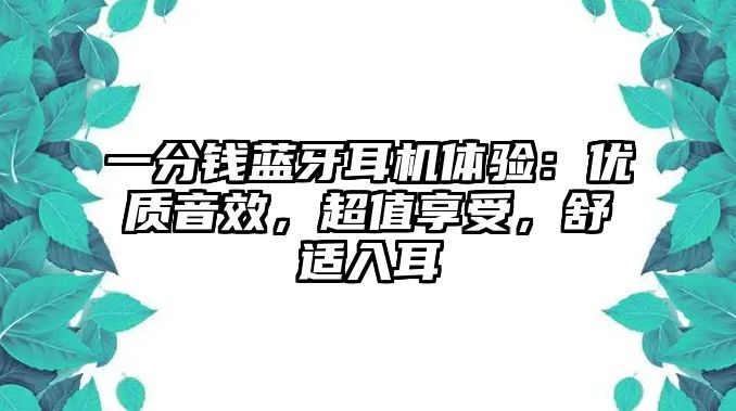 一分錢(qián)藍(lán)牙耳機(jī)體驗(yàn)：優(yōu)質(zhì)音效，超值享受，舒適入耳