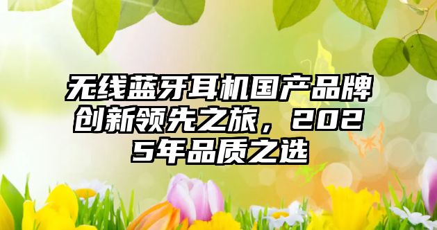 無線藍牙耳機國產品牌創(chuàng)新領先之旅，2025年品質之選