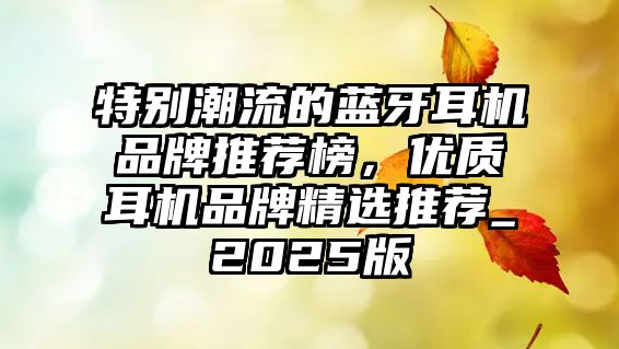 特別潮流的藍牙耳機品牌推薦榜，優質耳機品牌精選推薦_2025版