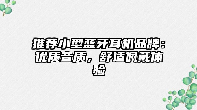 推薦小型藍牙耳機品牌：優質音質，舒適佩戴體驗