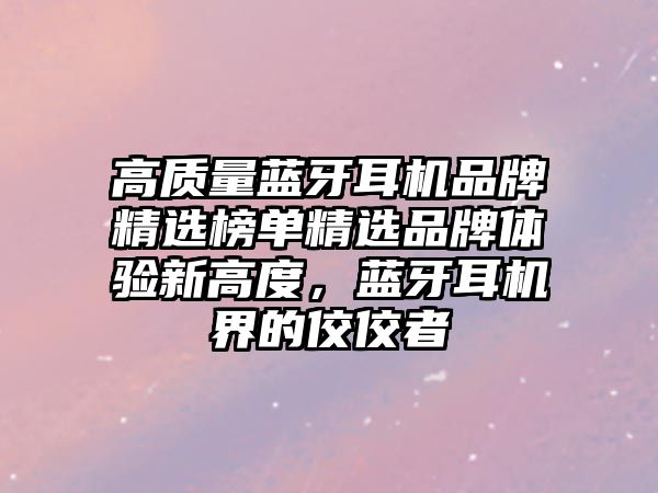 高質(zhì)量藍(lán)牙耳機(jī)品牌精選榜單精選品牌體驗(yàn)新高度，藍(lán)牙耳機(jī)界的佼佼者