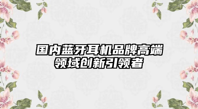 國(guó)內(nèi)藍(lán)牙耳機(jī)品牌高端領(lǐng)域創(chuàng)新引領(lǐng)者
