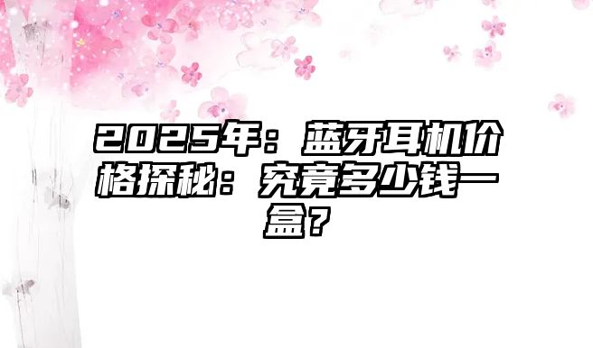 2025年：藍牙耳機價格探秘：究竟多少錢一盒？