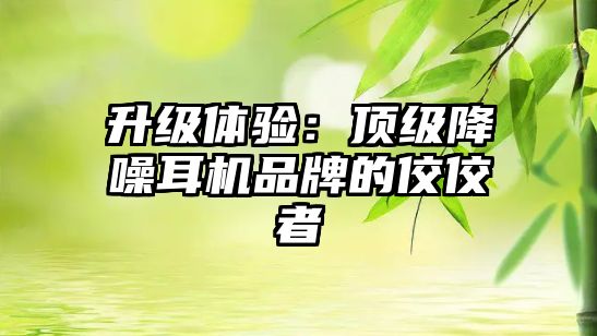 升級體驗：頂級降噪耳機品牌的佼佼者