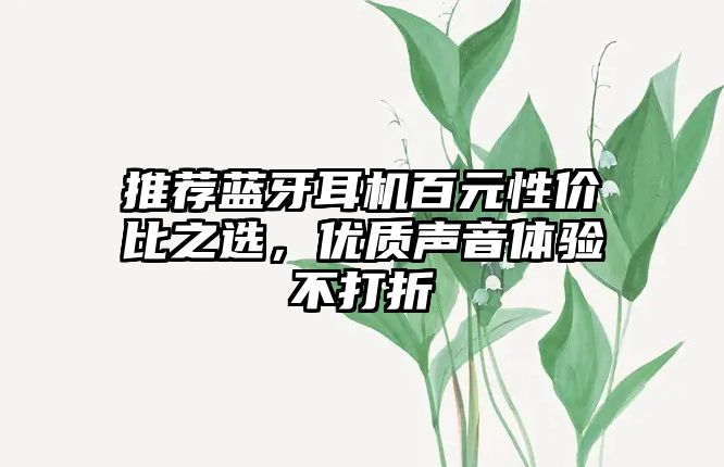 推薦藍牙耳機百元性價比之選，優質聲音體驗不打折
