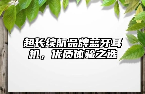 超長續航品牌藍牙耳機，優質體驗之選