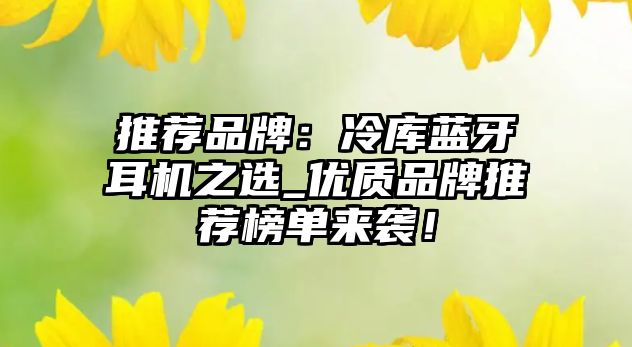 推薦品牌：冷庫藍(lán)牙耳機(jī)之選_優(yōu)質(zhì)品牌推薦榜單來襲！