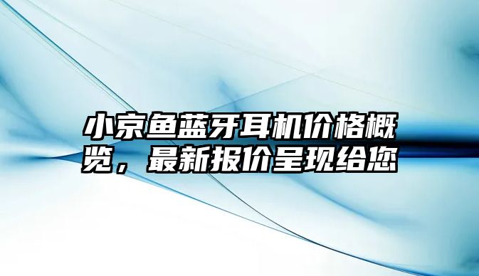 小京魚藍牙耳機價格概覽，最新報價呈現給您