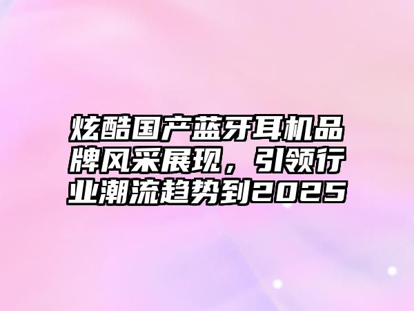 炫酷國產藍牙耳機品牌風采展現，引領行業潮流趨勢到2025