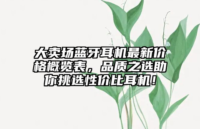 大賣場藍牙耳機最新價格概覽表，品質(zhì)之選助你挑選性價比耳機！